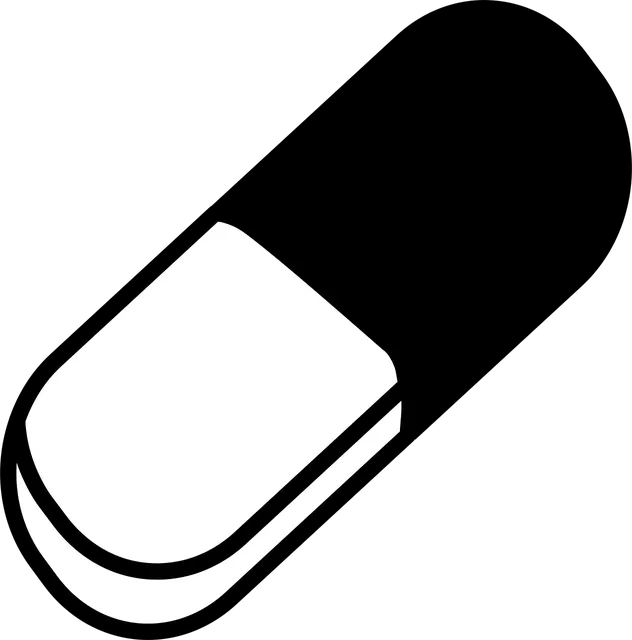 MSM (90 Kapseln)