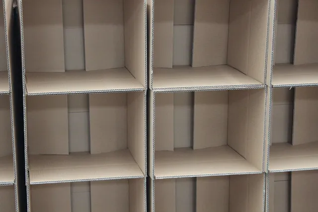 Immun-Booster-Box