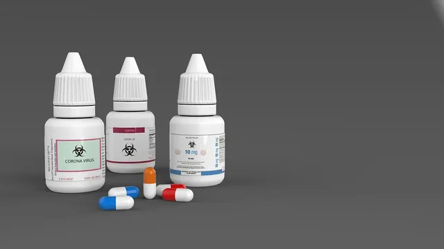 Immunbooster Bundle (Immunbooster Box + Ernährungsprogramm)