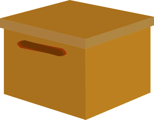 Stoffwechsel Box premium 6 Wo. Komplettpaket