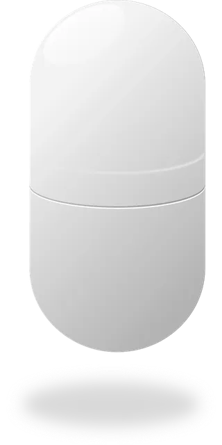 MSM (90 Kapseln)