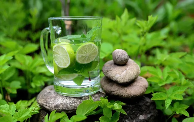 Preview: DETOX- BOX- 4 Wochen Komplettpaket