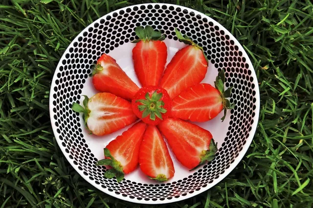 Rezeptbroschüre zur Stoffwechselkur