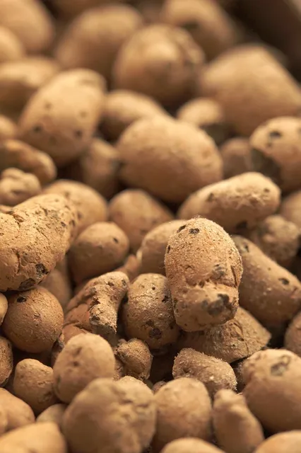 Basenbildendes Granulat 170g