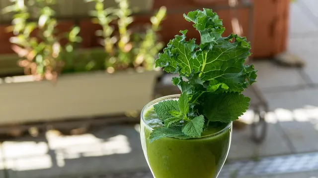 Detox Bundle (Detox Box + Ernährungsprogramm)