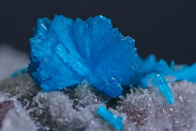 Magnesium +